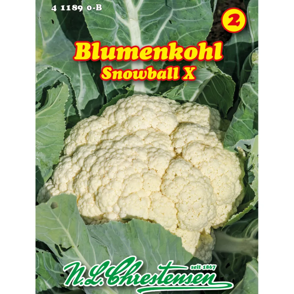 Saatgut Blumenkohl Snowball für ca. 60 Pflanzen