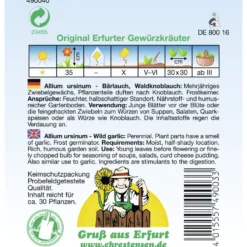 Saatgut Bärlauch ca. 30 Pflanzen