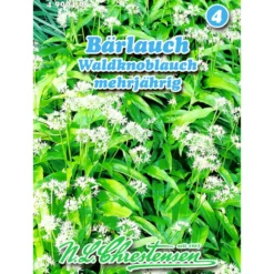 Saatgut Bärlauch ca. 30 Pflanzen