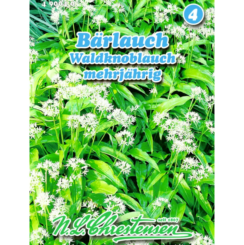 Saatgut Bärlauch ca. 30 Pflanzen