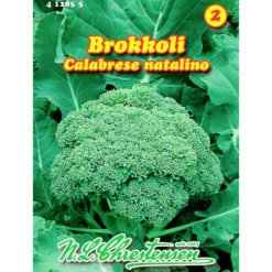 Saatgut Brokkoli Calabrese Natalino ca. 80 Pflanzen