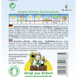 Saatgut Brunnenkresse großblättrig ca. 300 Pflanzen