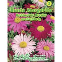 Saatgut Bunte Margarite Mix ca. 80 Pflanzen
