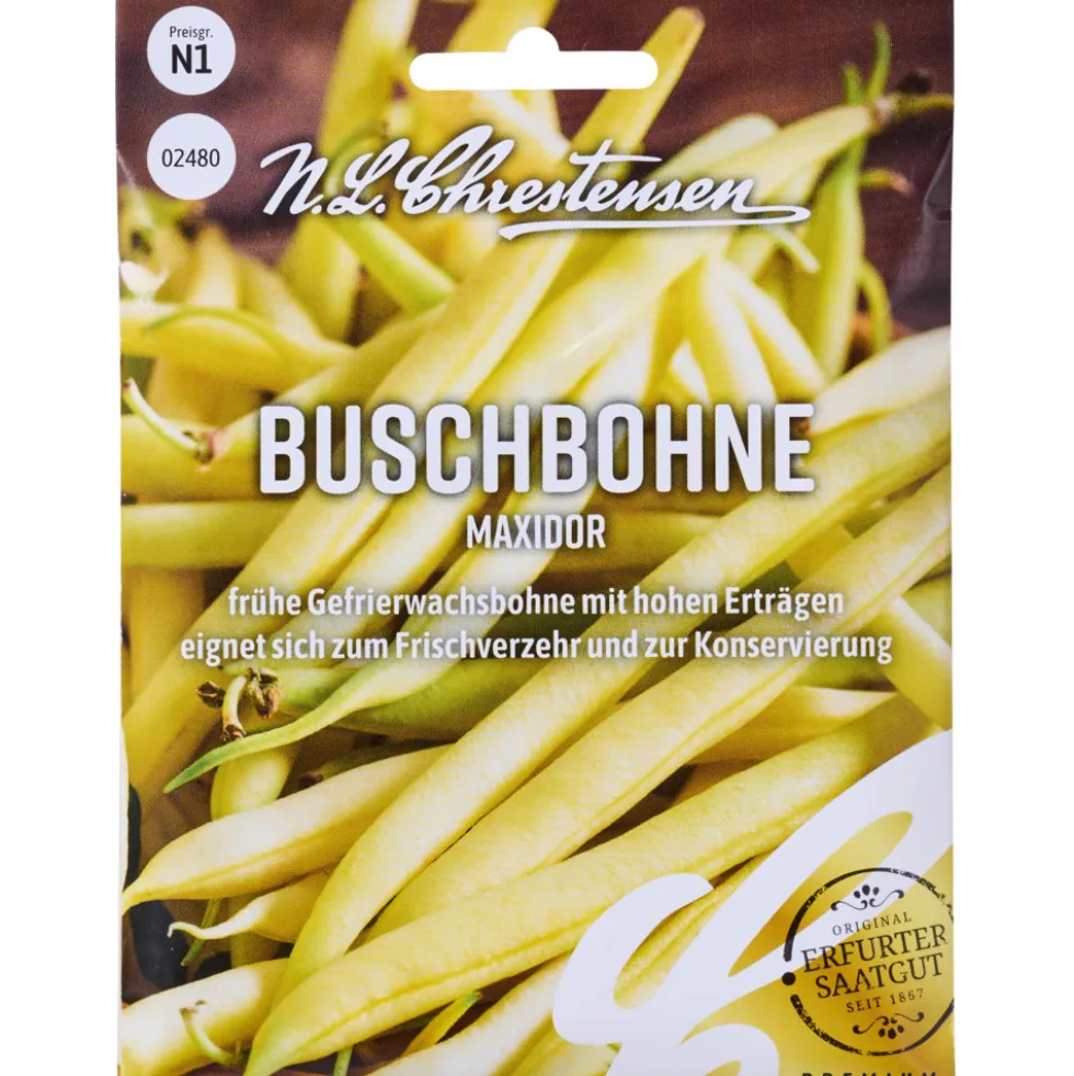 Saatgut Buschbohne Maxidor