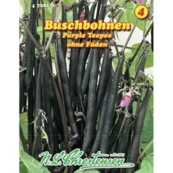 Saatgut Buschbohnen ca. 9 laufende Meter lila
