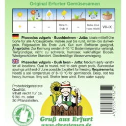 Saatgut Buschbohnen Jutta ca. 9 laufende Meter