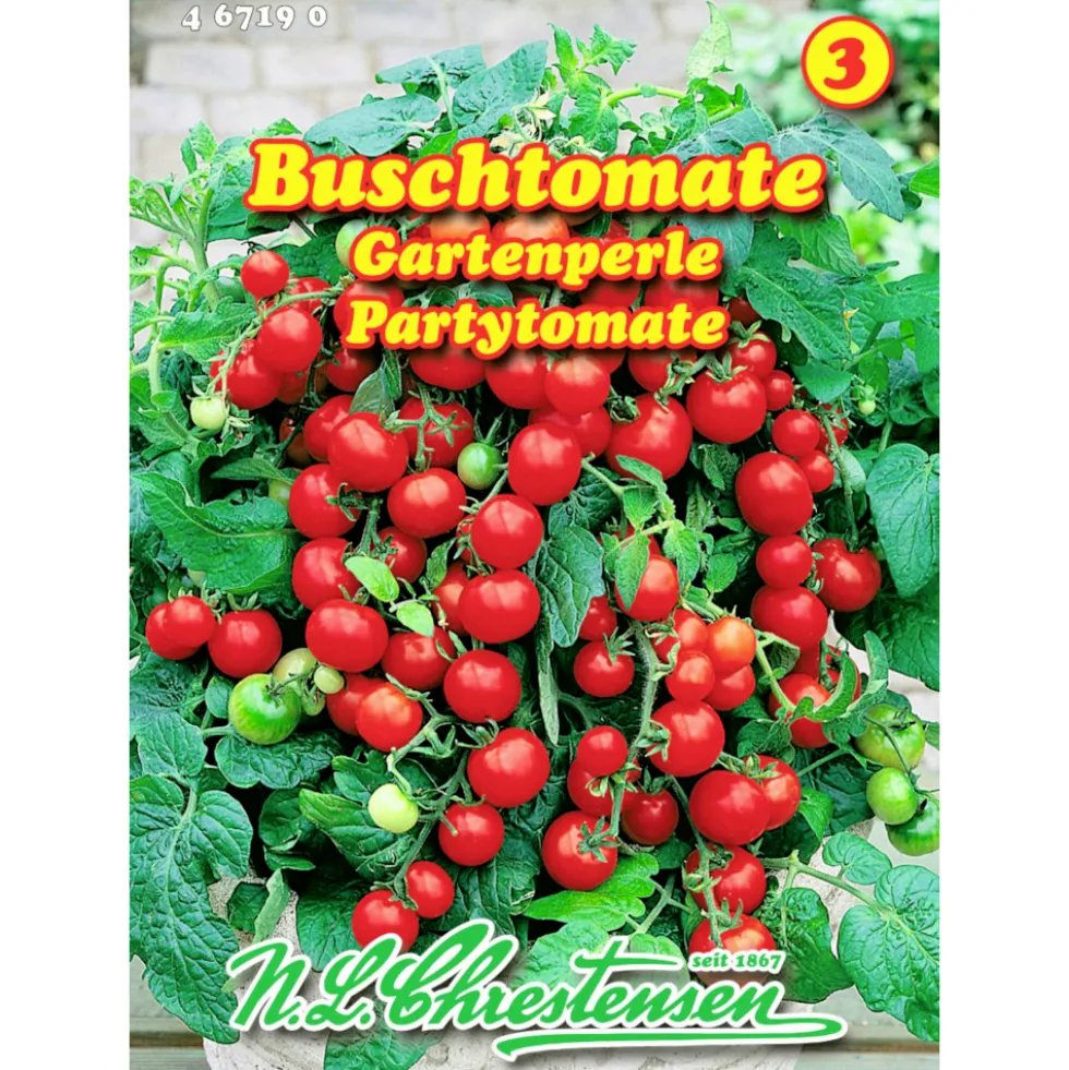 Saatgut Buschtomate Gartenperle ca. 80 Pflanzen