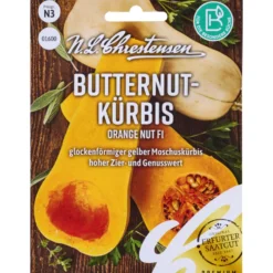 Saatgut Butternutkürbis Orange Nut F1