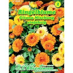 Saatgut Calendula Gitana Mix ca. 60 Pflanzen