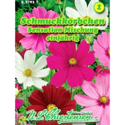 Saatgut Cosmos Sensations-Mix ca. 40 Pflanzen