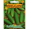 Saatgut Einlegegurke ca. 30 Pflanzen