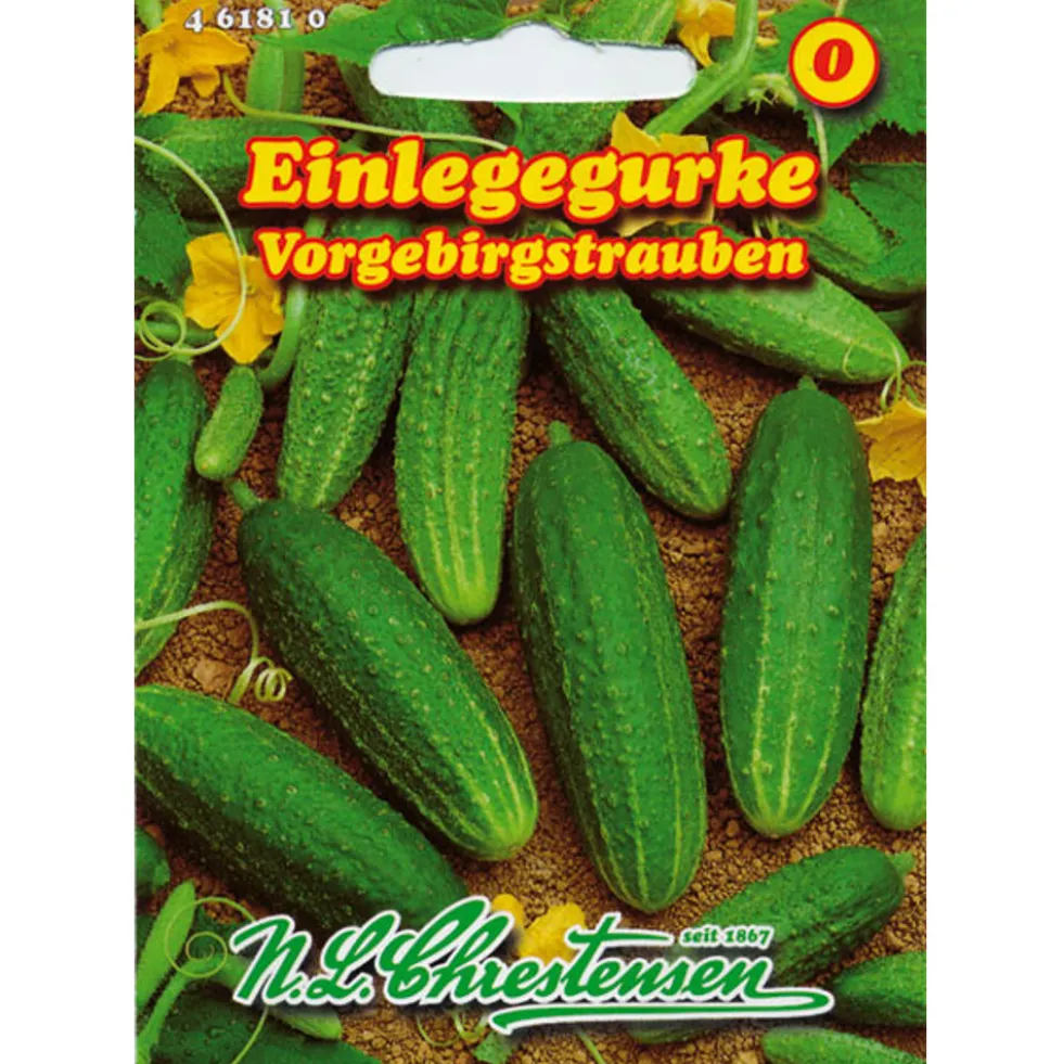 Saatgut Einlegegurke ca. 30 Pflanzen
