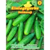 Saatgut Einlegegurke Delikateß ca. 30 Pflanzen
