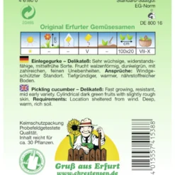 Saatgut Einlegegurke Delikateß ca. 30 Pflanzen