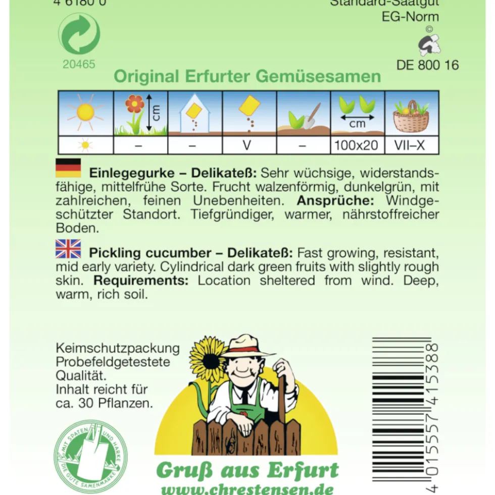 Saatgut Einlegegurke Delikateß ca. 30 Pflanzen