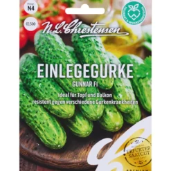 Saatgut Einlegegurke Gunnar F1