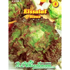 Saatgut Eissalat Sioux ca. 70 Pflanzen