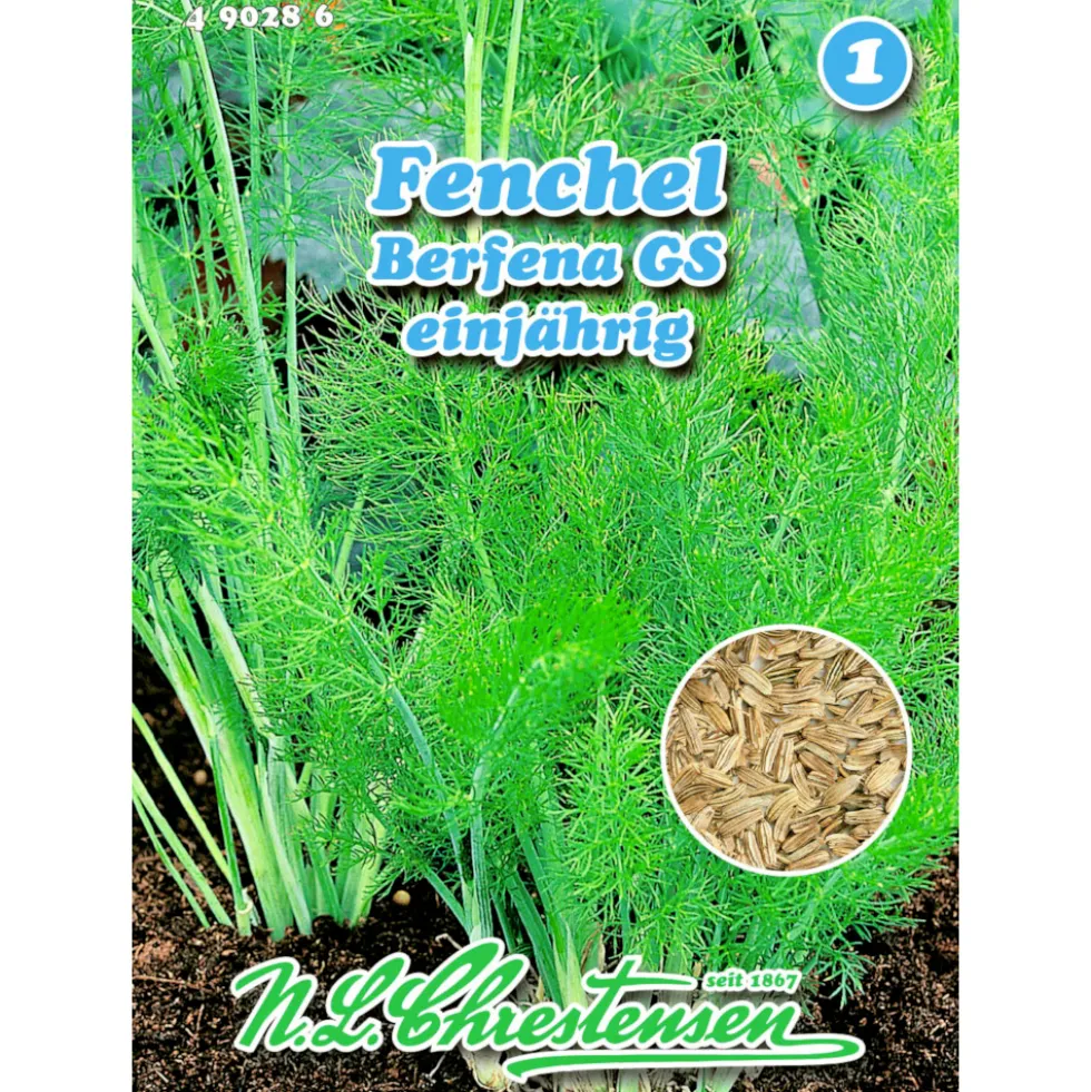 Saatgut Fenchel Berfena ca. 50 Pflanzen