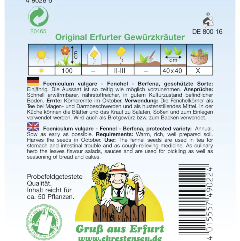 Saatgut Fenchel Berfena ca. 50 Pflanzen