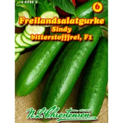 Saatgut Freilandsalatgurke Sindy ca. 8-10 Pflanzen