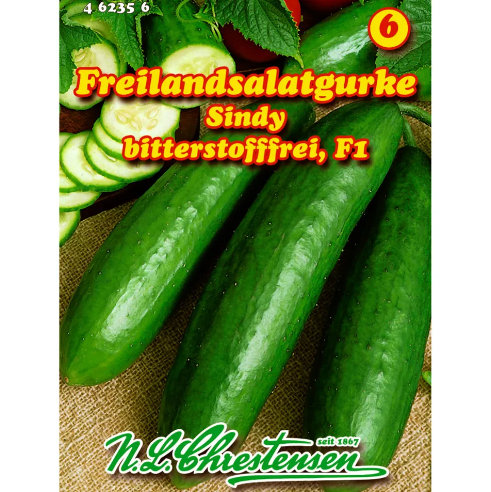 Saatgut Freilandsalatgurke Sindy ca. 8-10 Pflanzen