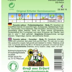 Saatgut Freilandsalatgurke Sindy ca. 8-10 Pflanzen