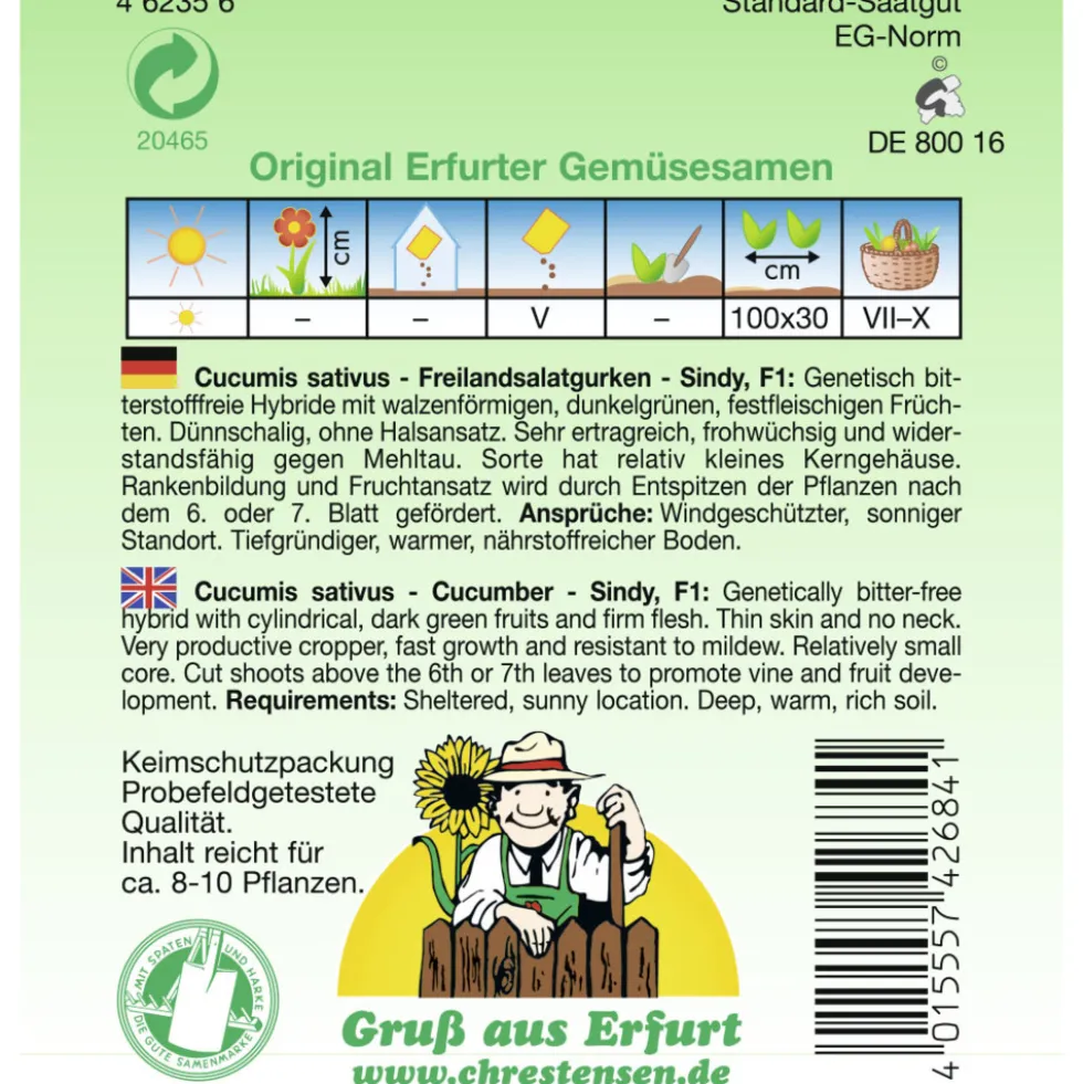 Saatgut Freilandsalatgurke Sindy ca. 8-10 Pflanzen