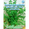 Saatgut Gartenpimpinelle ca. 2 m²