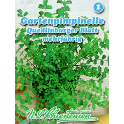 Saatgut Gartenpimpinelle ca. 2 m²