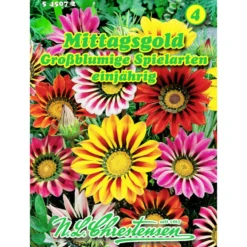 Saatgut Gazania-Hybrid ca. 40 Pflanzen