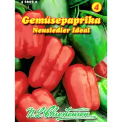 Saatgut Gemüsepaprika ca. 50 Pflanzen rot