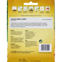 Saatgut Gesundheits-Möhre Juwarot
