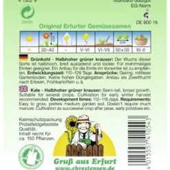Saatgut Grünkohl ca. 150 Pflanzen
