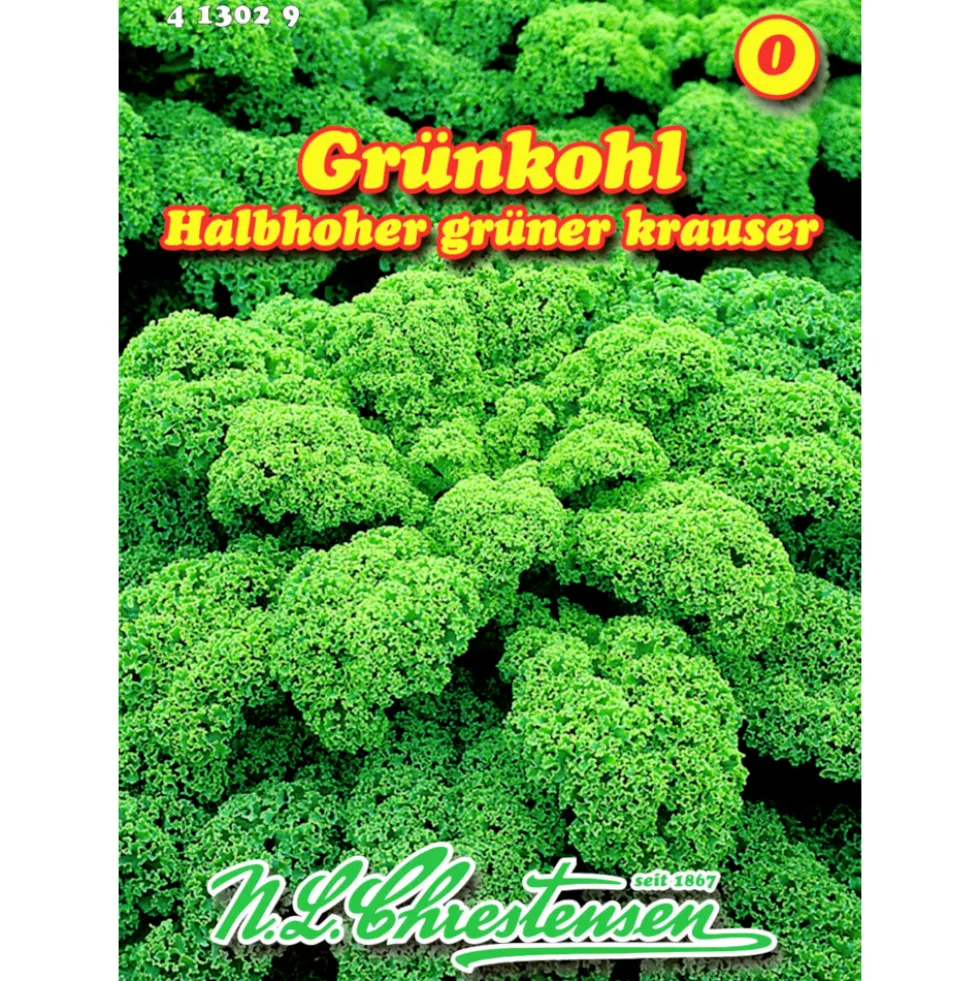 Saatgut Grünkohl ca. 150 Pflanzen