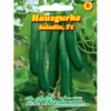 Saatgut Hausgurke Saladin ca. 10 Pflanzen