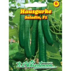 Saatgut Hausgurke Saladin ca. 10 Pflanzen