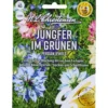 Saatgut Jungfer im Grünen Persian Jewels