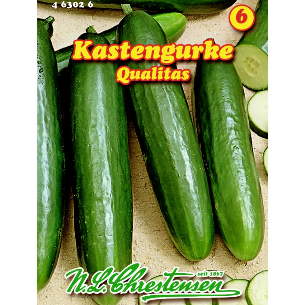 Saatgut Kastengurke Qualitas ca. 8-9 Pflanzen