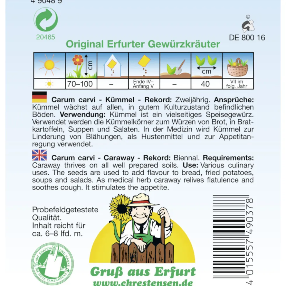 Saatgut Kümmel Rekord ca. 6-8 laufende Meter