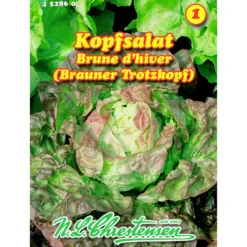 Saatgut Kopfsalat brauner Trotzkopf ca. 200 Pflanzen