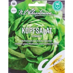 Saatgut Kopfsalat Dynamite