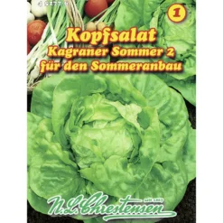 Saatgut Kopfsalat Kagraner Sommer 2ca. 200 Pflanzen