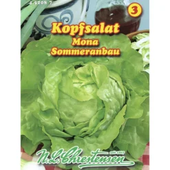 Saatgut Kopfsalat Mona ca. 200 Pflanzen