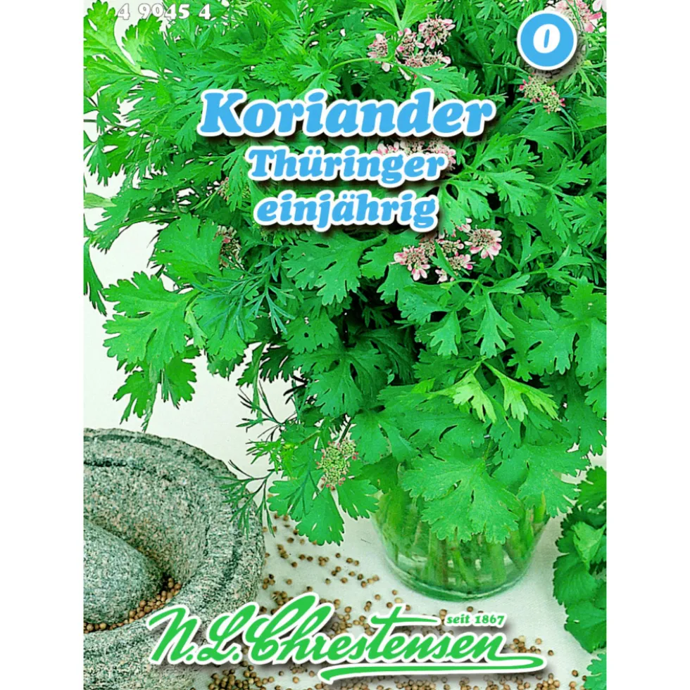 Saatgut Koriander Thüringer ca. 80 Pflanzen