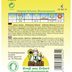 Saatgut Lathyrus Edelwicken ca. 30 Pflanzen
