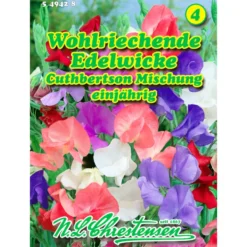 Saatgut Lathyrus Edelwicken ca. 30 Pflanzen