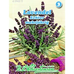 Saatgut Lavendel Echter ca. 400 Pflanzen