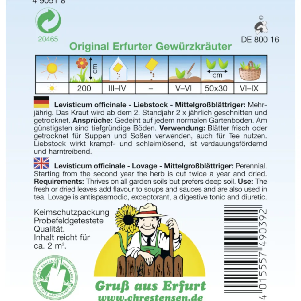 Saatgut Liebstock Mittelgroßblättriger ca. 2 m²