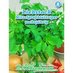 Saatgut Liebstock Mittelgroßblättriger ca. 2 m²