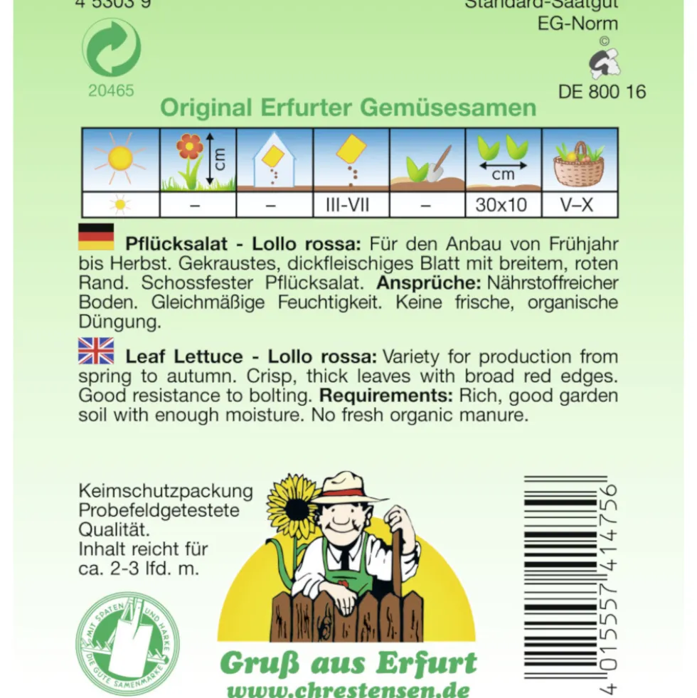 Saatgut Lollo Rossa ca. 2-3 laufende Meter